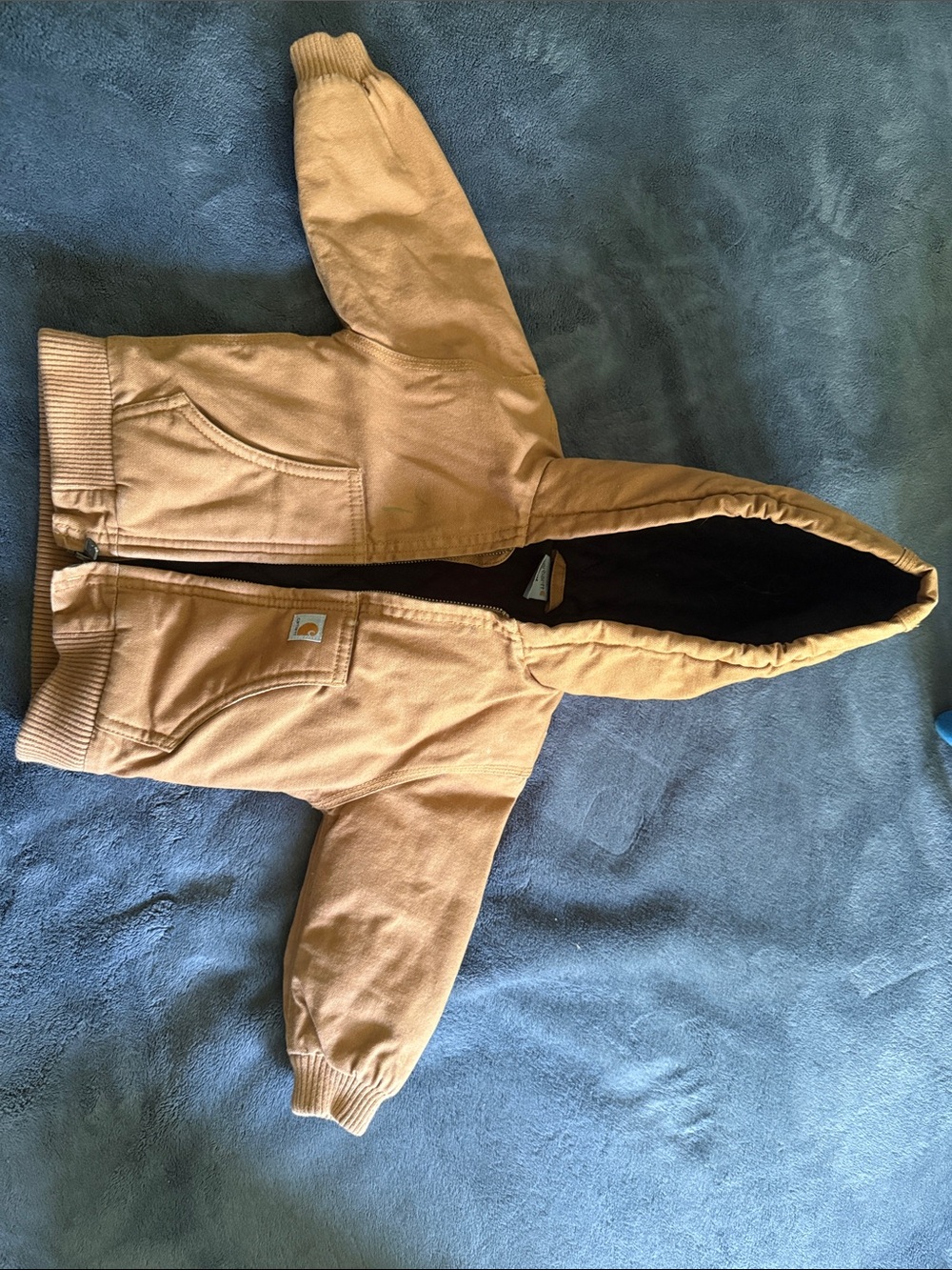 Carhartt Kids Hooded Jacket in Brown